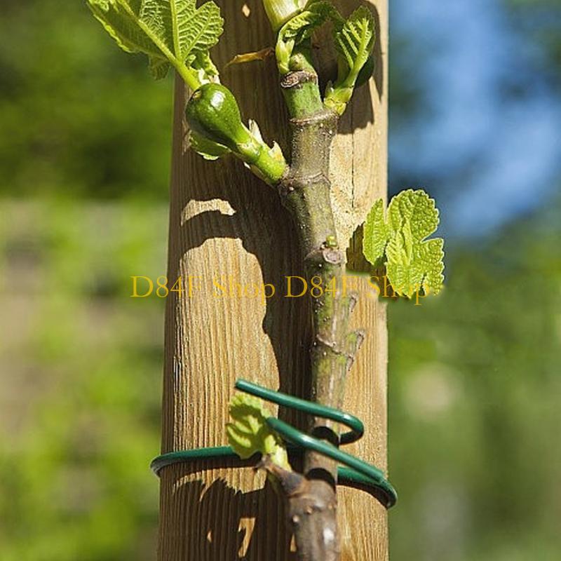 Garden Wire Twist Tie - D84F 2.5mmx10m สีเขียว Soft Twist Tie