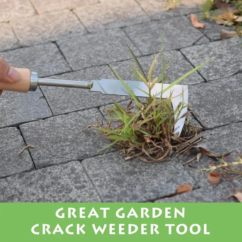 เครื่องมือกำจัดวัชพืชแบบมีช่อง - Gardening Tools Used For Weeding บทวิจารณ์และราคา