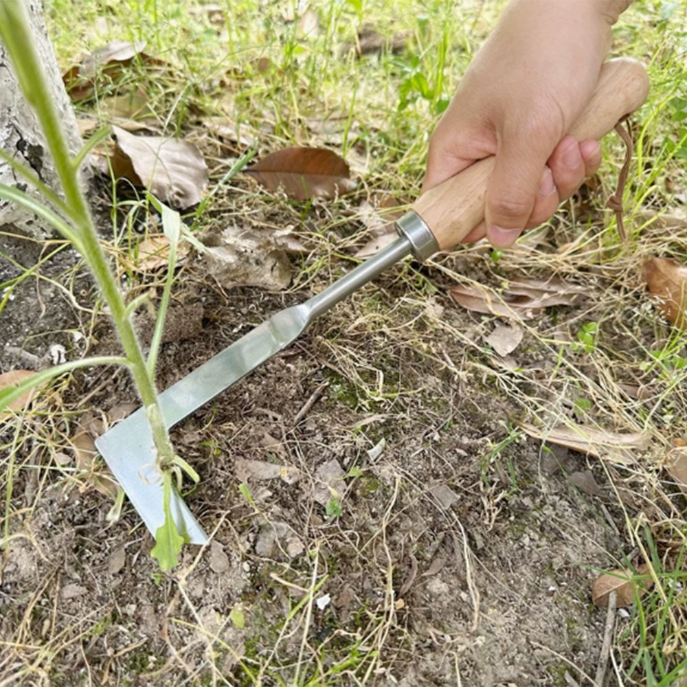 เครื่องมือกำจัดวัชพืชแบบสแตนเล - Gardening Tools Used For Weeding บทวิจารณ์และราคา