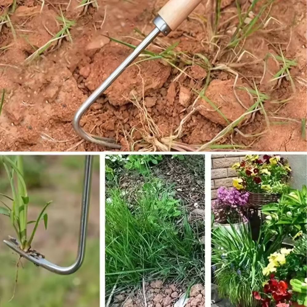 เครื่องมือกำจัดวัชพืชแบบสแตนเล - Gardening Tools Used For Weeding บทวิจารณ์และราคา