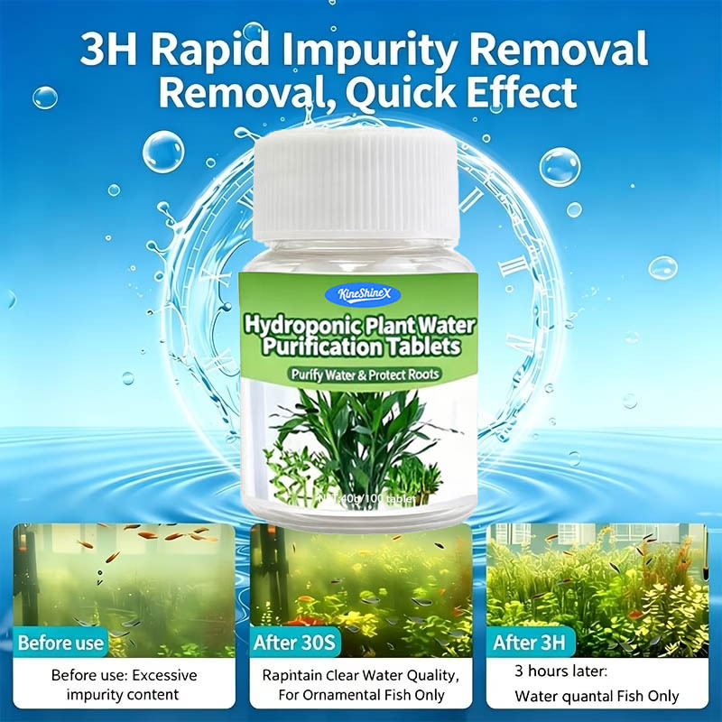 แท็บเล็ตกรองน้ำแบบไฮโดรโปนิกส์ - Aquaponics Fish Tank บทวิจารณ์และราคา