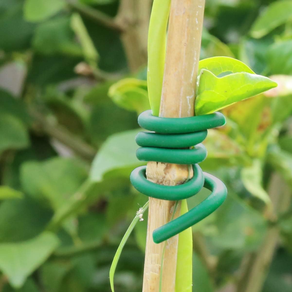 สายรัดต้นไม้แบบยืดหยุ่น สีเขีย - Garden Wire Twist Tie บทวิจารณ์และราคา