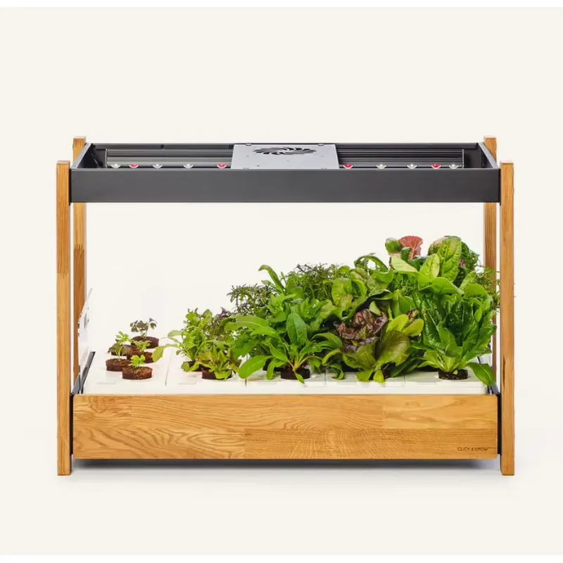 ชุดปลูกผักพันธุ์ดั้งเดิม 27500 - Gardening Tools Kit For Sale บทวิจารณ์และราคา