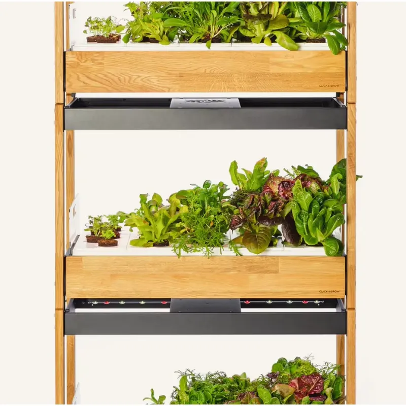 ชุดปลูกผักพันธุ์ดั้งเดิม 27500 - Gardening Tools Kit For Sale บทวิจารณ์และราคา