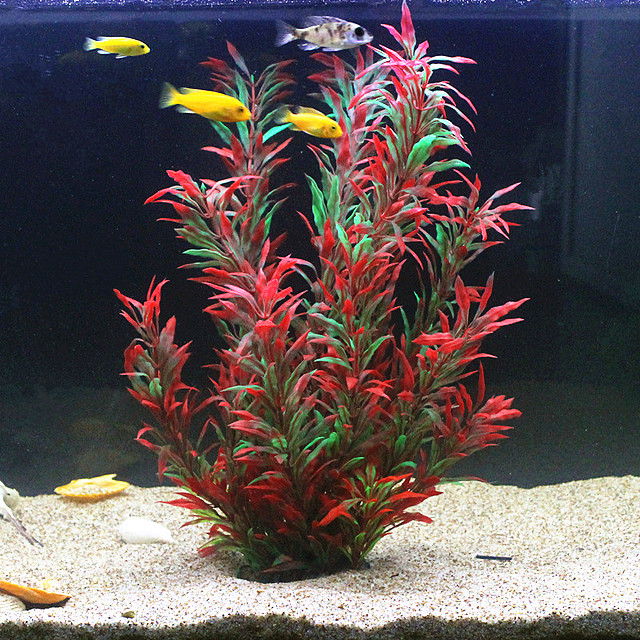 50 ซม.ถังปลาประดิษฐ์พืชหายากAq - Aquaponics Fish Tank บทวิจารณ์และราคา