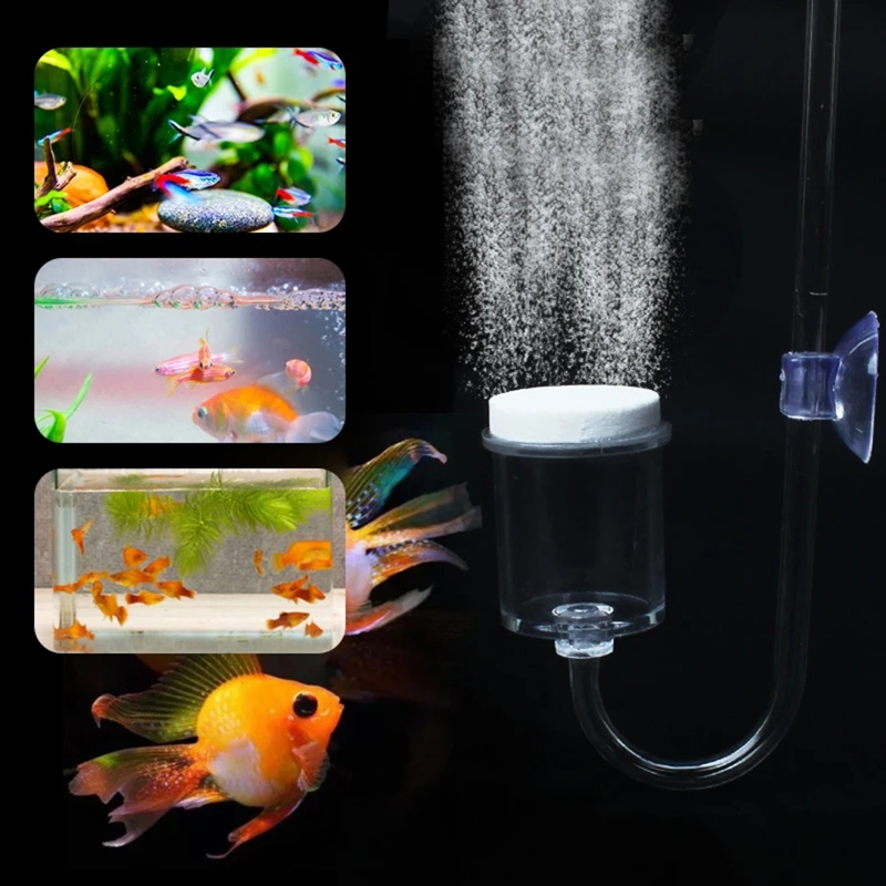 DIY ชุดกระจาย CO2 4ชิ้นสำหรับต - Aquaponics Fish Tank บทวิจารณ์และราคา