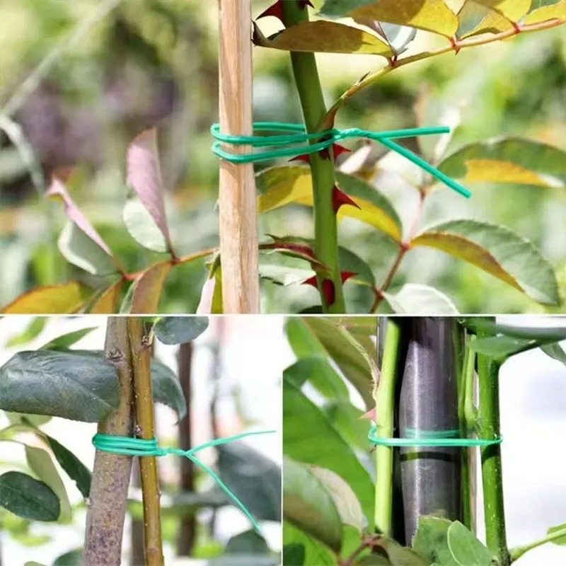 สายรัดต้นไม้เอนกประสงค์แบบตัดไ - Garden Wire Twist Tie บทวิจารณ์และราคา